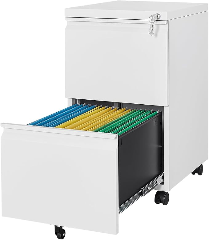 2 Drawers Vertical File Cabinet by Fesbos