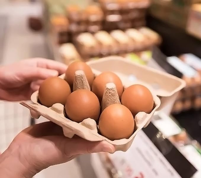 50 Pack Egg Cartons Cheap Bulk, Blank Natural Pulp Egg Carton 6 Count - Image 5
