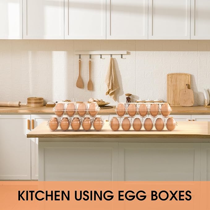 Egg Cartons Cheap Bulk 100 Pack, 1 Dozen Plastic Egg Carton - Image 6