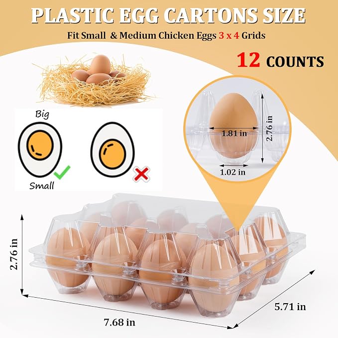 60 Pack Plastic Egg Cartons Cheap Bulk, One Dozen Clear Empty Egg Cartons - Image 2