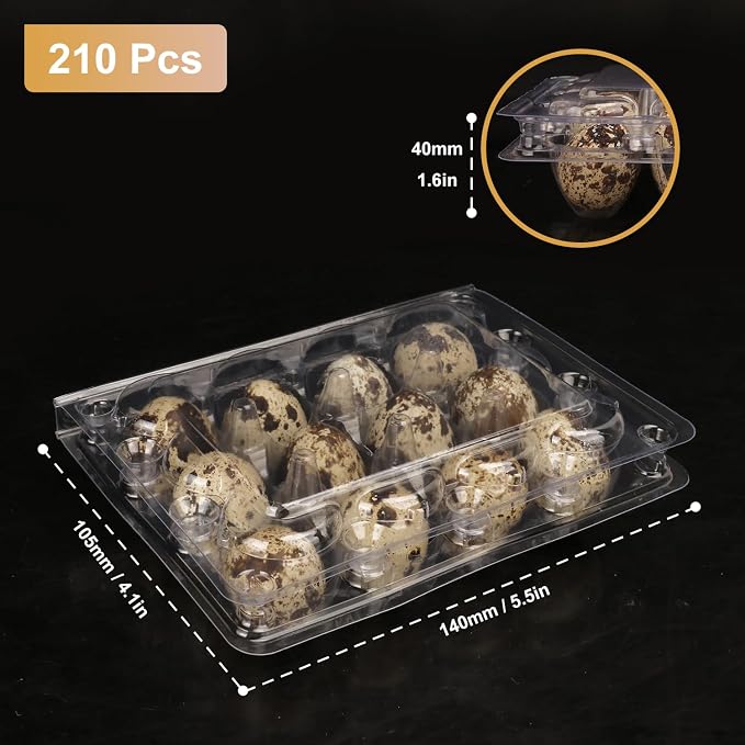 200 Pack Quail Egg Cartons, Holds up to 12 Quail Eggs Securely - Image 2