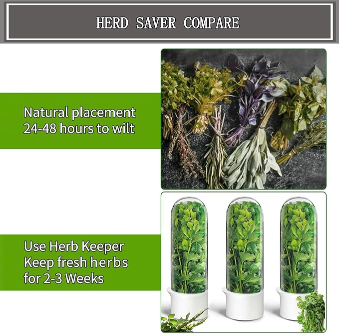 Herb Saver for Refrigerator, Cilantro Container for Fridge, Fresh Herbs Lettuce - Image 6