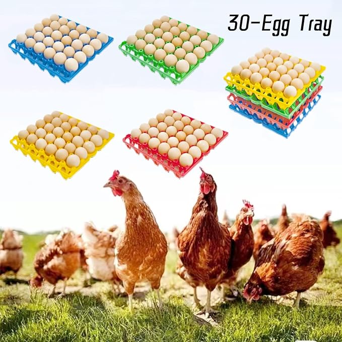 4-Pack Plastic Egg Tray Egg Crates 30-Egg Flats - Image 5