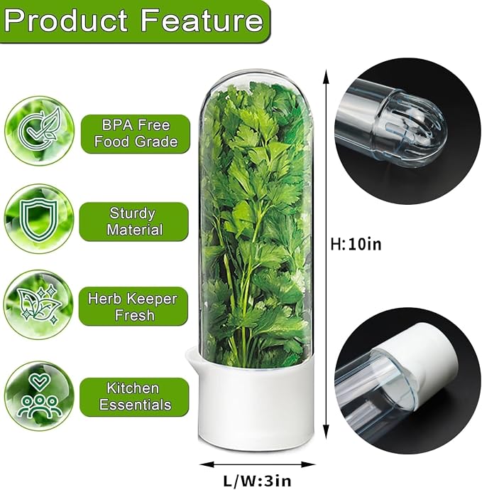 Cilantro Container for Fridge, Herb Saver for Refrigerator - Image 5