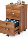 VINGLI 2-Drawer Rolling File Cabinet by VINGLI