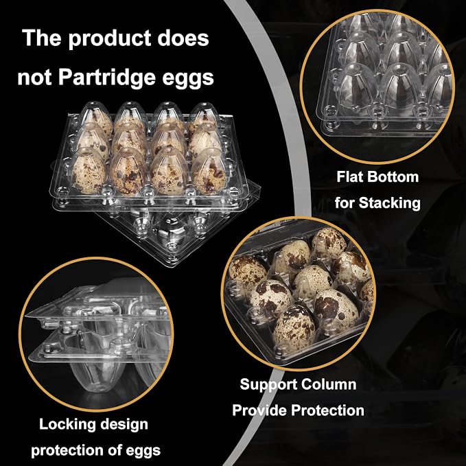 200 Pack Quail Egg Cartons, Holds up to 12 Quail Eggs Securely - Image 3