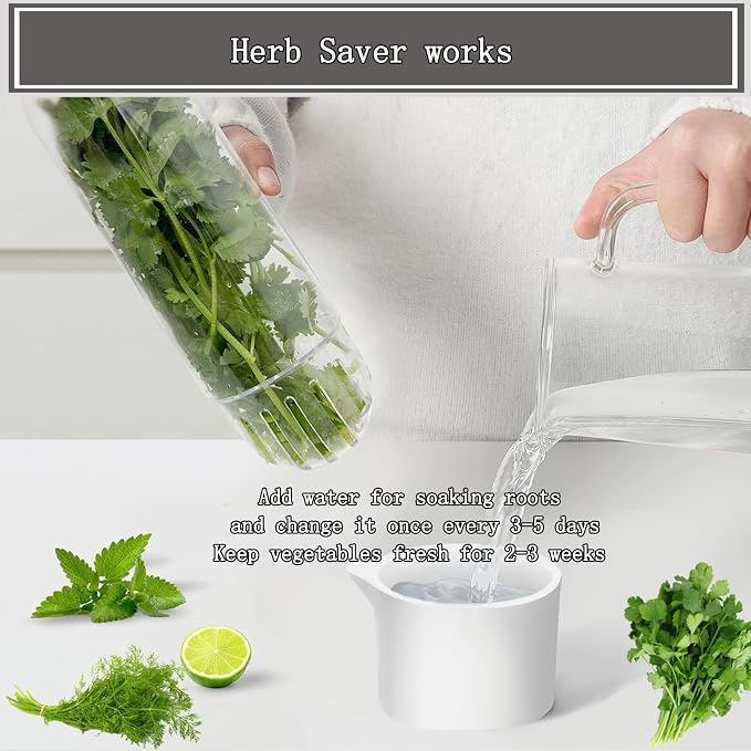 Herb Saver for Refrigerator, Fresh Herbs Lettuce Keeper for Refrigerator - Image 4