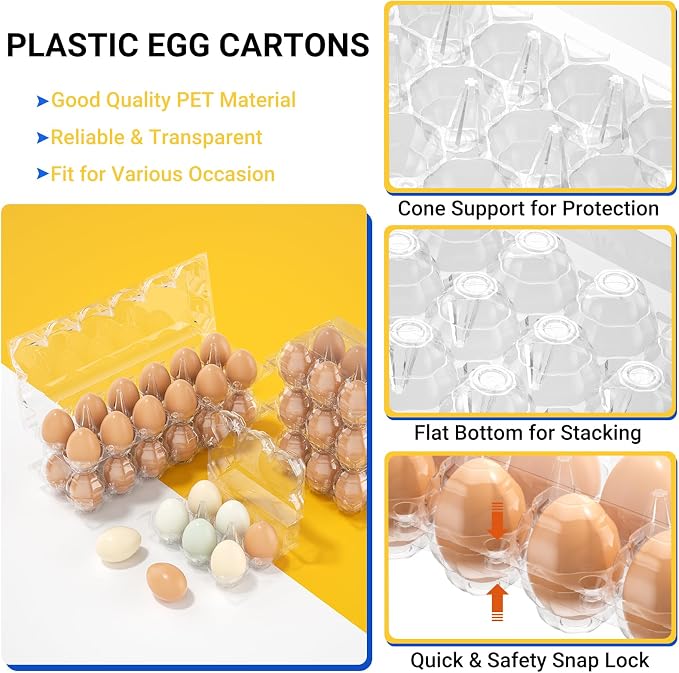100 Pack Plastic Egg Cartons Cheap Bulk, 2x6 Grids Refrigerator Egg Trays - Image 3