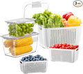 LUXEAR Fresh Container by Luxear