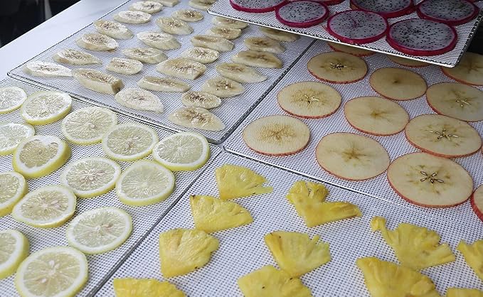 Mesh Silicone Dehydrator Sheets, 15.5x15.5 in 10 Pcs/Sets - Image 7