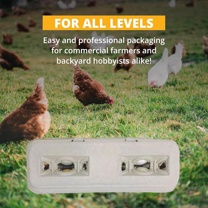 Stromberg's Jumbo Blank Egg Cartons, Bulk Pack - Image 5