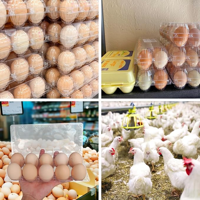 80 Pack Bulk Egg Cartons, Egg Tray Carton Holder - Image 7