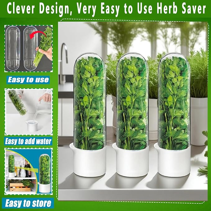 Cilantro Container for Fridge, Herb Saver for Refrigerator - Image 6