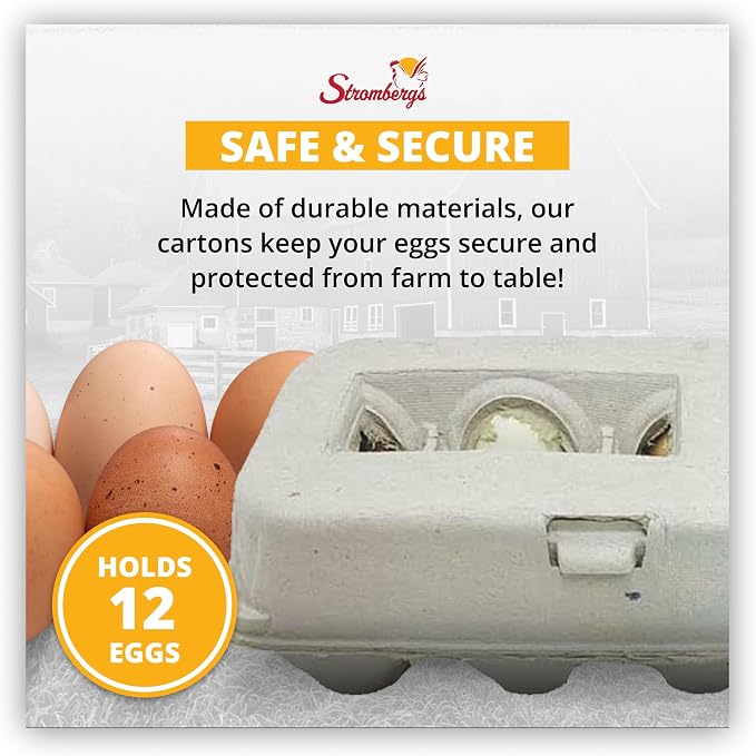 Stromberg's Jumbo Blank Egg Cartons, Bulk Pack - Image 6