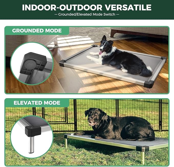 FXW TitanNest Chew-Proof Elevated Dog Bed, Raised Cot - Image 5