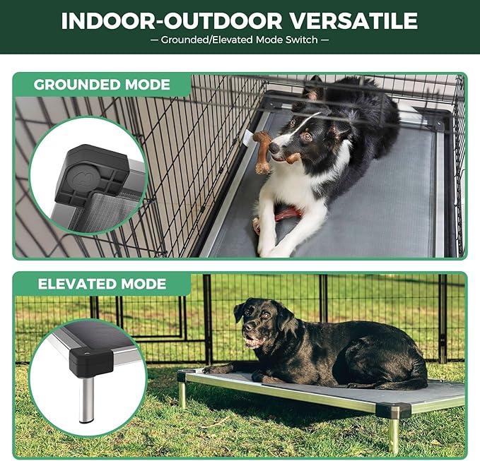 FXW TitanNest Chew-Proof Elevated Dog Bed, Raised Cot - Image 5
