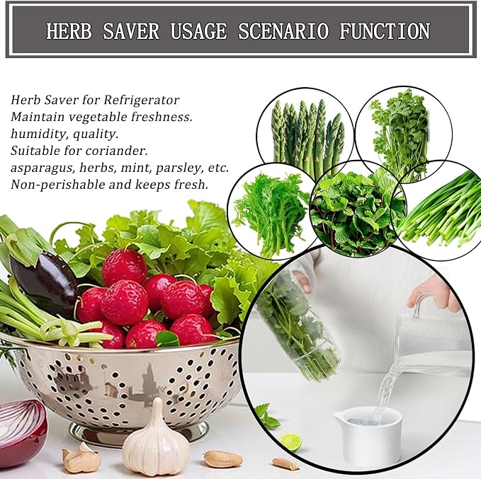 Herb Saver for Refrigerator, Cilantro Container for Fridge, Fresh Herbs Lettuce - Image 3