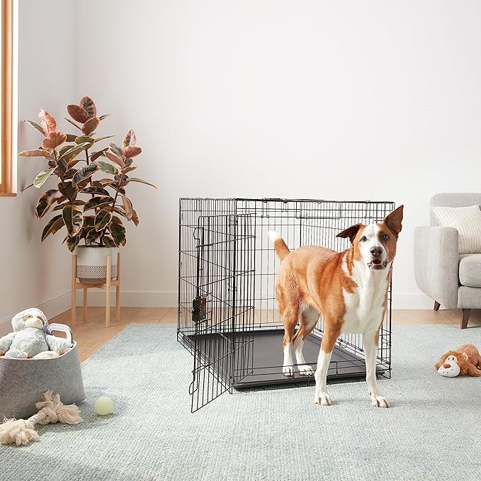 Amazon Basics - Durable, Foldable Metal Wire Dog Crate - Image 5